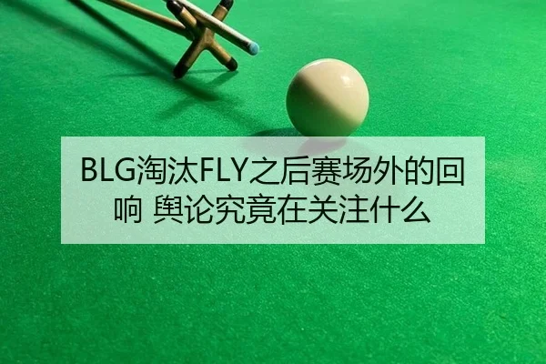 BLG淘汰FLY之后赛场外的回响 舆论究竟在关注什么